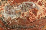 Polished, Petrified Wood (Araucarioxylon) Slab - Arizona #193672-1